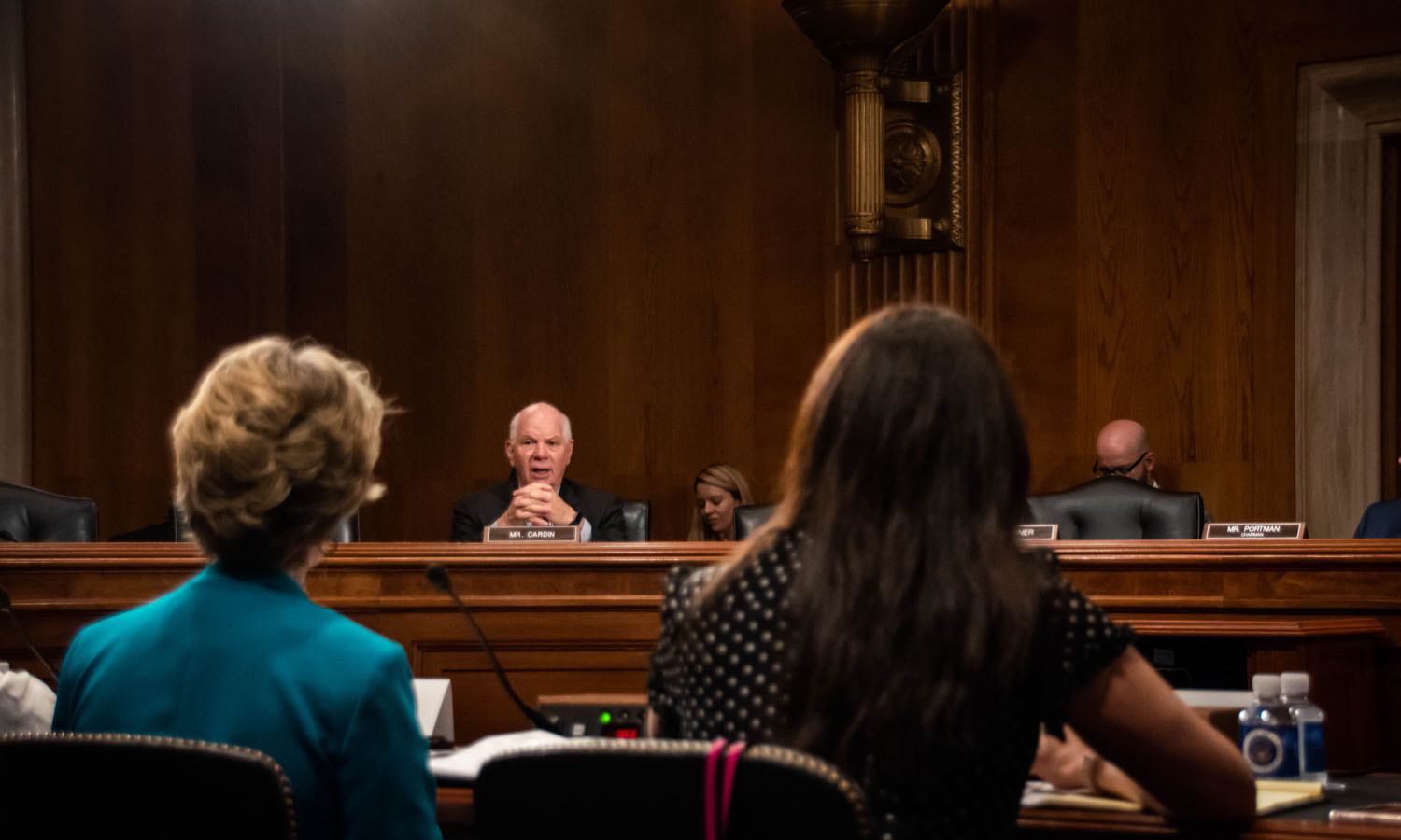 Professor Caroline Bruckner at tax hearing